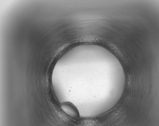 X0000059040636200510211935