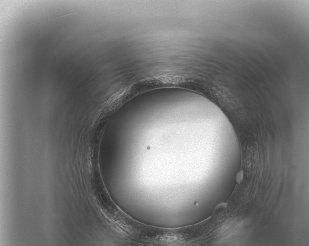 X0000059040639200510211935