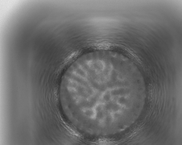 X0000059040641200510211935