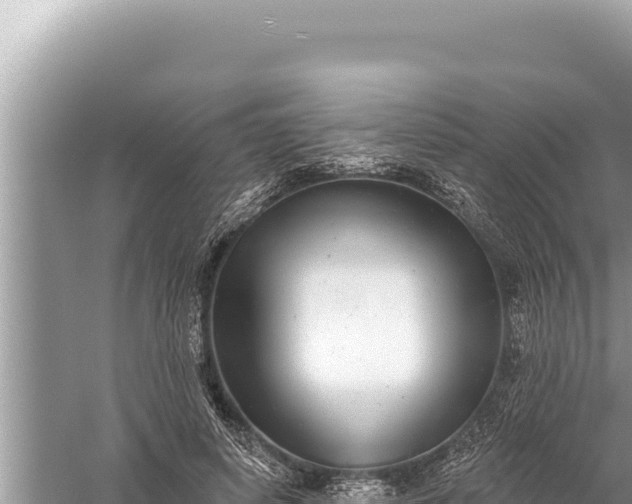 X0000059040642200510211935