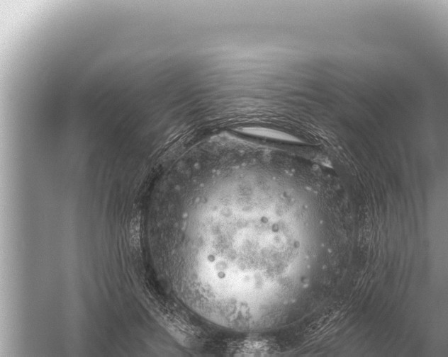 X0000059040647200510211935