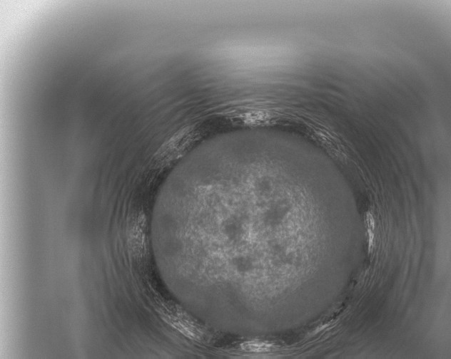 X0000059040650200510211935