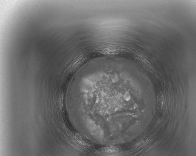 X0000059040652200510211935