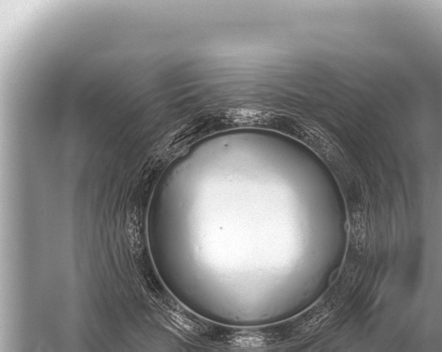 X0000059040653200510211935