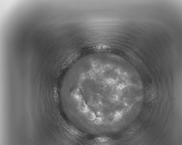 X0000059040654200510211935