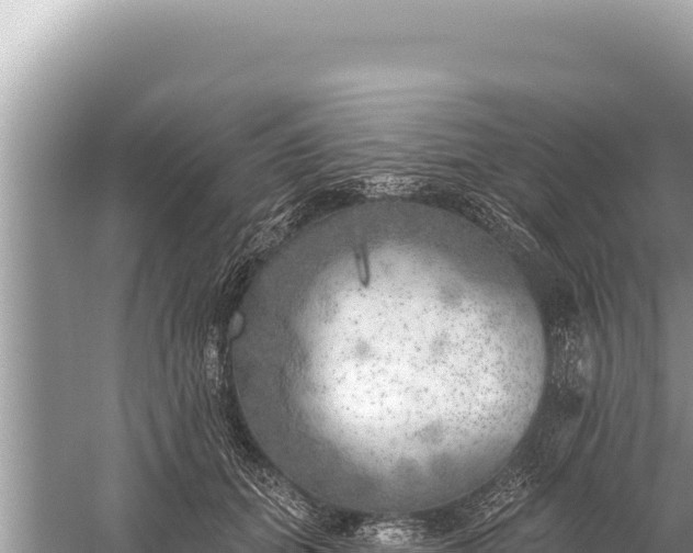 X0000059040655200510211935