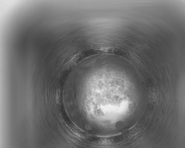 X0000059040656200510211935