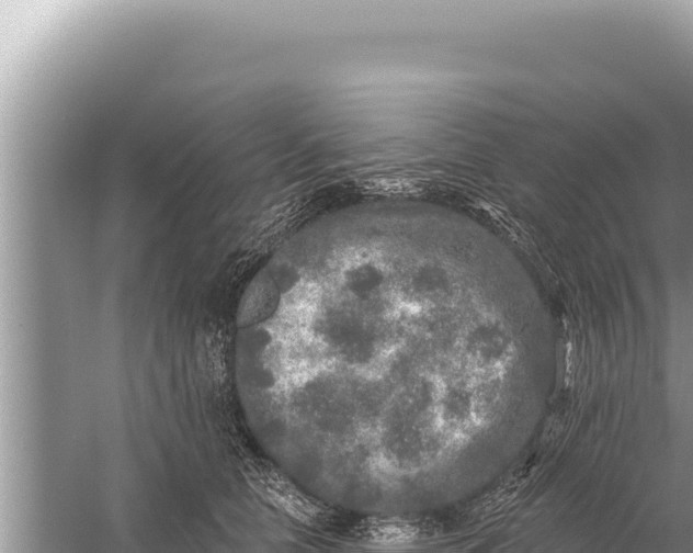 X0000059040658200510211935