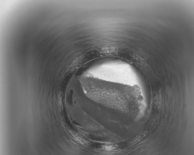 X0000059040662200510211935