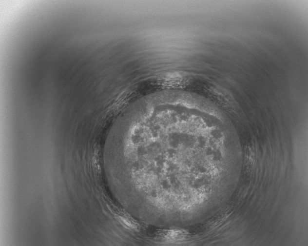 X0000059040663200510211935