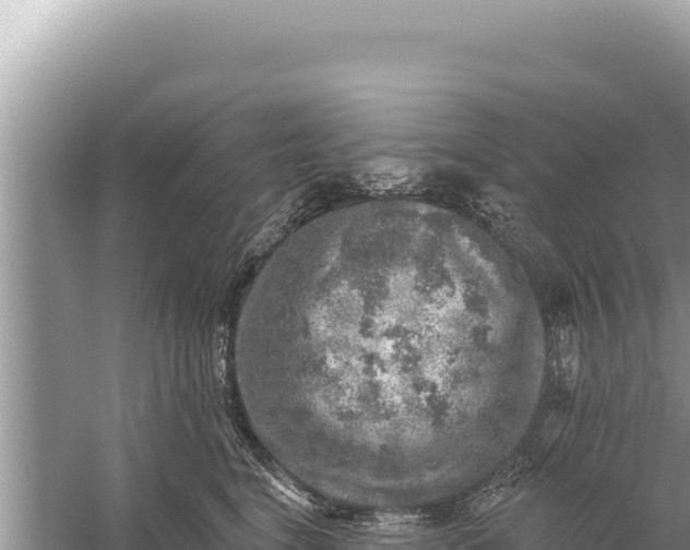 X0000059040664200510211935