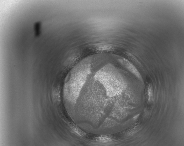 X0000059040668200510211935