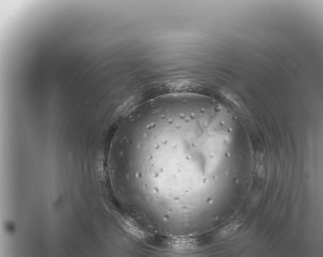 X0000059040670200510211935