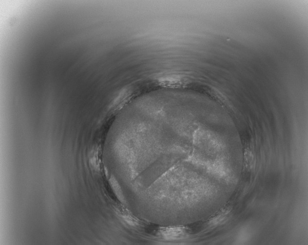 X0000059040671200510211935