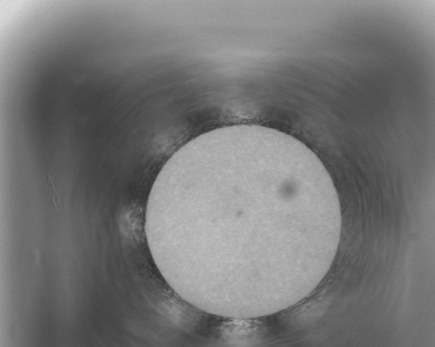 X0000059040672200510211935