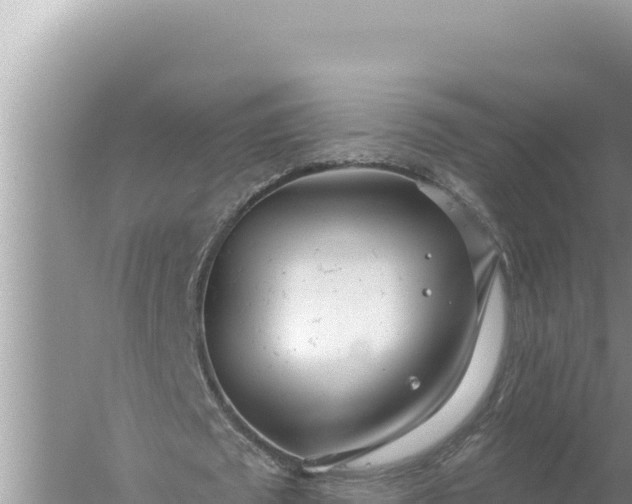 X0000059040673200510211935