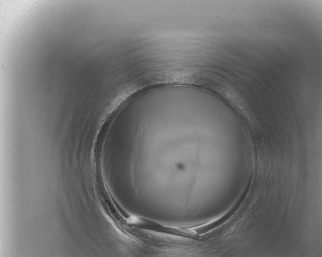 X0000059040674200510211935