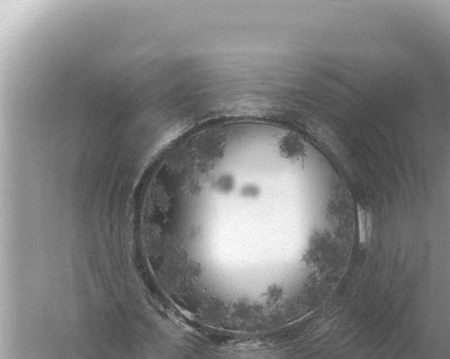 X0000059040675200510211934