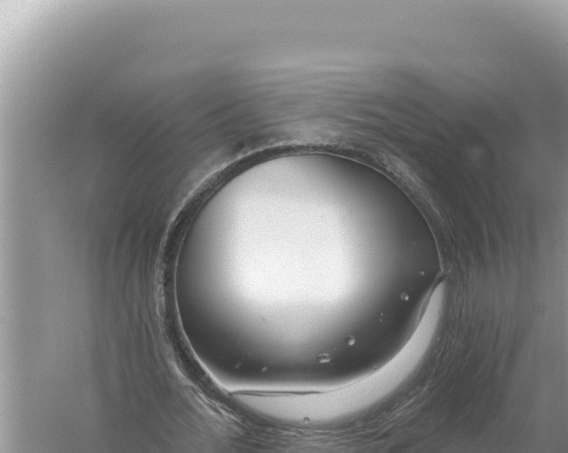 X0000059040676200510211934