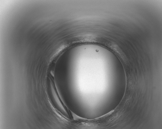 X0000059040677200510211934