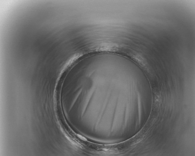 X0000059040678200510211934