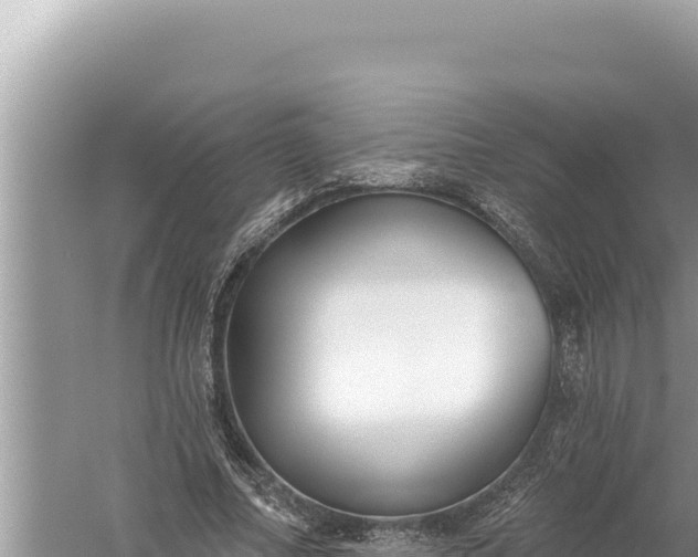 X0000059040682200510211934