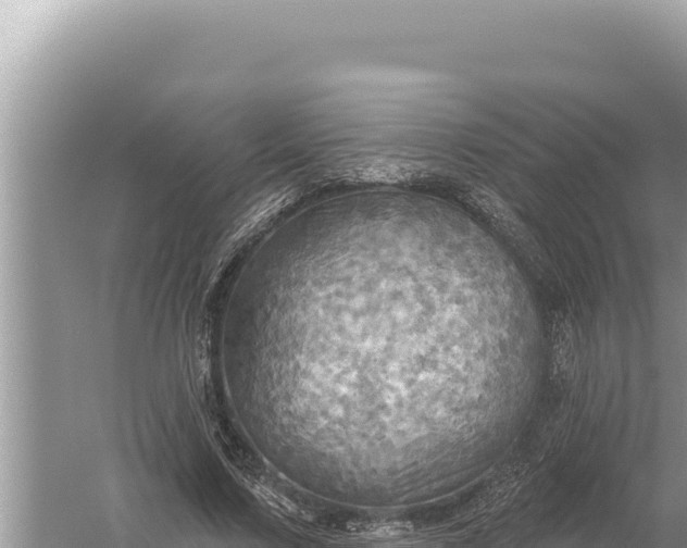 X0000059040683200510211934