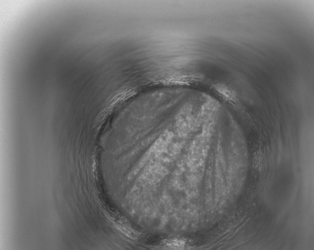 X0000059040687200510211934