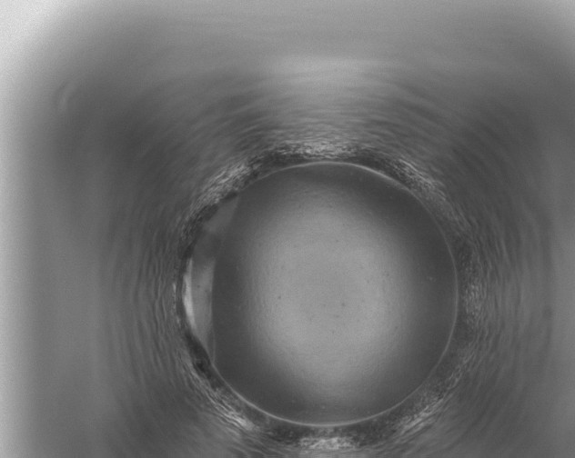 X0000059040689200510211934