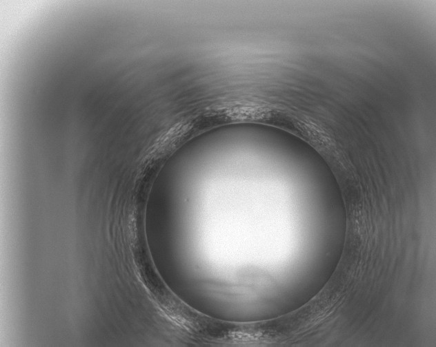 X0000059040690200510211934