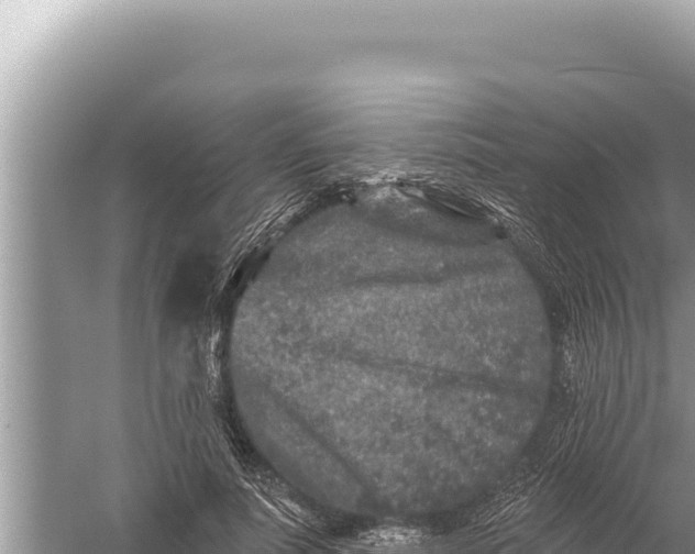 X0000059040691200510211934