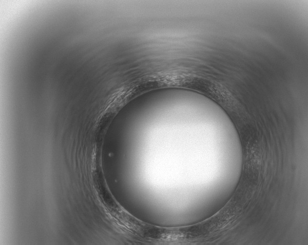 X0000059040694200510211934