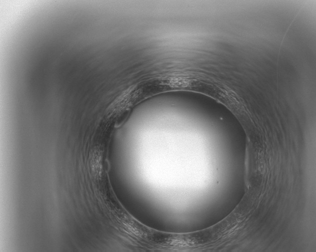 X0000059040697200510211934