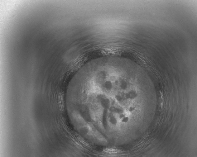 X0000059040699200510211934