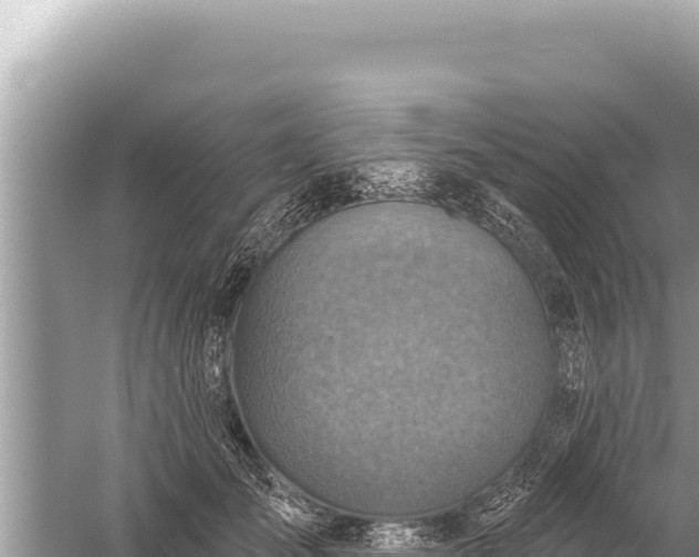 X0000059040701200510211934