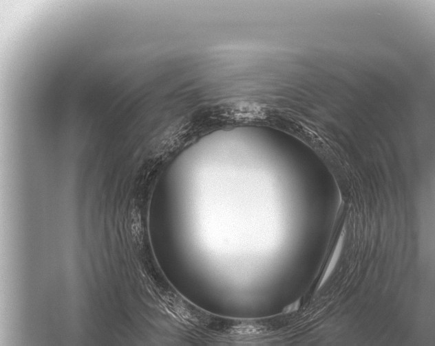 X0000059040704200510211934