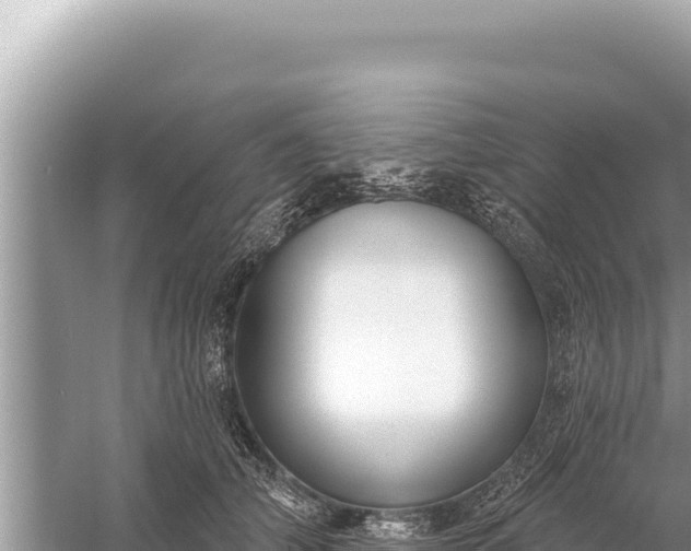 X0000059040706200510211934