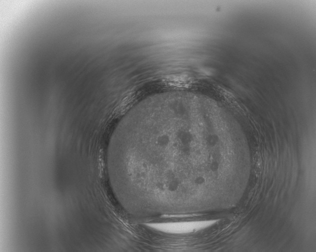 X0000059040707200510211934