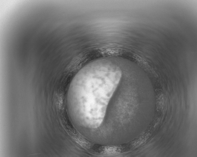 X0000059040709200510211934