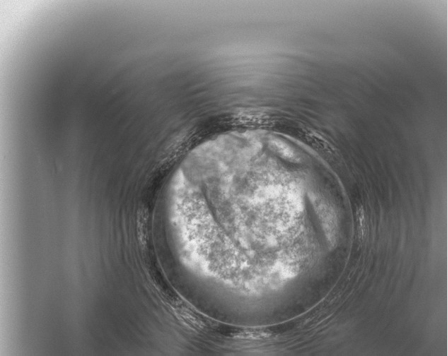 X0000059040712200510211934