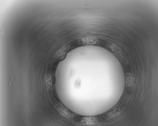 X0000059040713200510211934