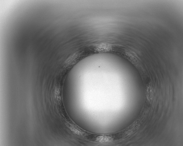 X0000059040714200510211934