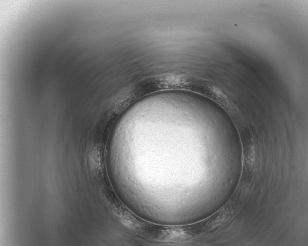 X0000059040715200510211934