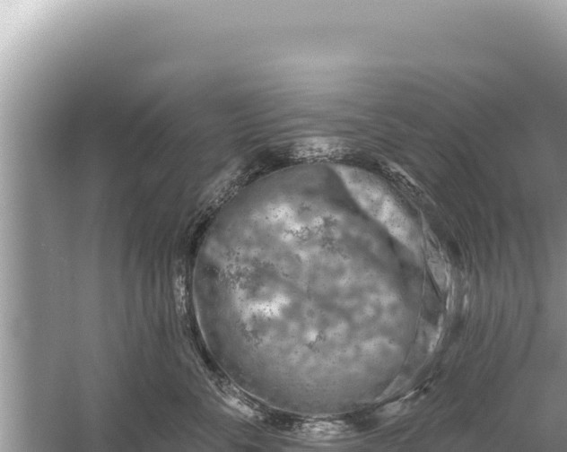 X0000059040716200510211934