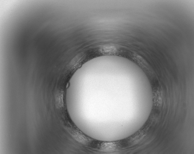 X0000059040717200510211934