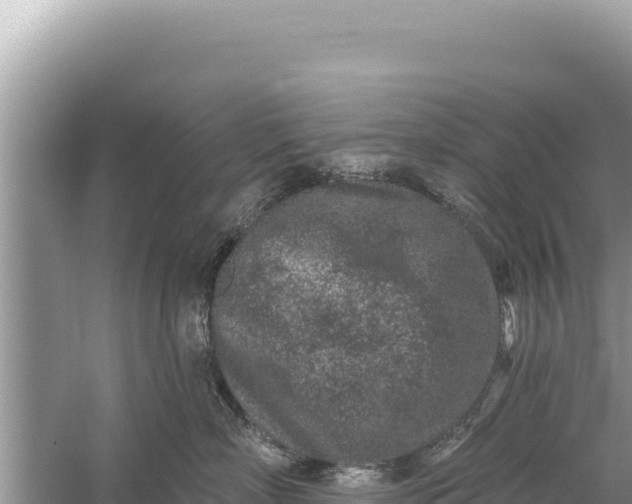 X0000059040718200510211934