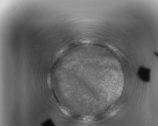 X0000059040720200510211934