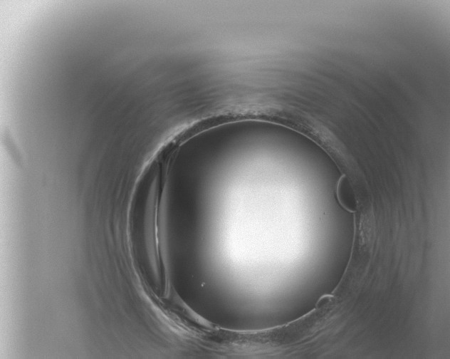 X0000059040722200510211933