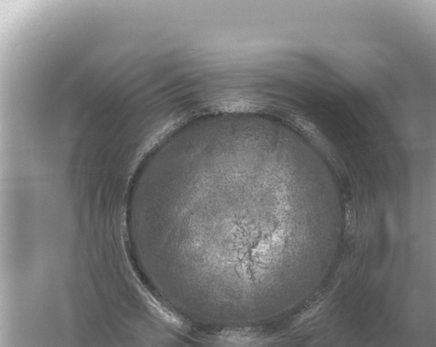 X0000059040725200510211933