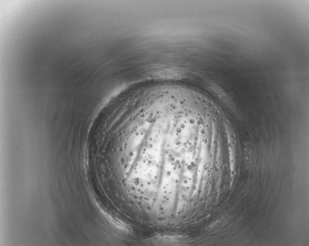 X0000059040726200510211933